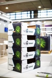 Nueva_Goliath caja packaging smurfit kappa