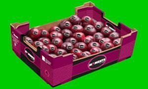 Caja de ciruelos. Moments