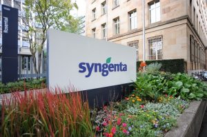 hires-rosental SYNGENTA