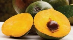 lúcuma fruta tropical