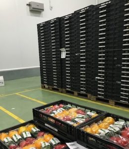 keepcool equipos en cámara catman