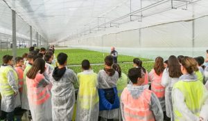 plantel visita niños