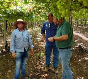 Ángel Ruiz Serna, gerente de Ecoculture