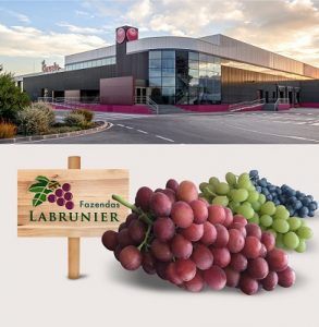 ciruelo compra empresa brasil uva LABRUNIER