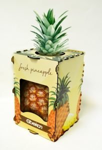 OBEIKAN Gen Piña SE300900 con Piña