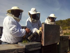 Apicultores de la C. Valenciana