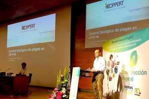 PONENCIA-CITRICOS-KOPPERT