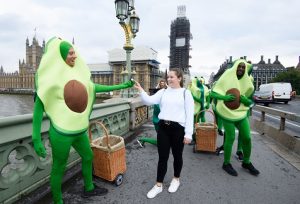 avocado mob london