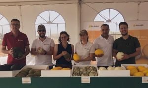 CLAUSE MELON MURCIA 2019
