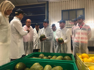 consejero de Murcia Miguel Ángel del Amor durante su visita a Gregal