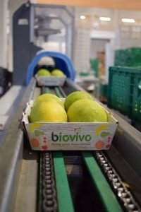 BIOVIVO HACIENDAS BIO
