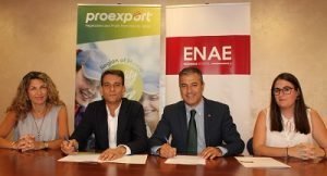 alianza enae y proexport