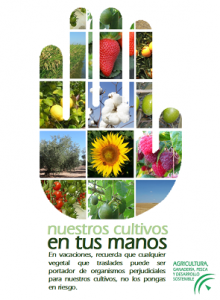 campaña junta andalucia entusmanos 2019