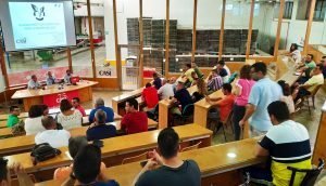 CASI sostenibilidad_subasta