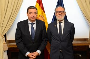 ministro y presidente mercasa