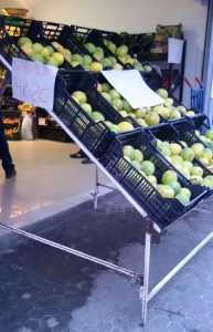 asaja Naranjas a medio madurar