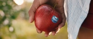 manzana Marlene