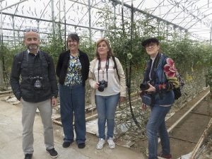 Grupo Indalo foto en Biosabor Almería desde la imagen