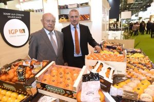 FRUIT 2018 CITRICOS VALENCIANOS
