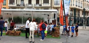 INVERNADERO MOVIL CUTE VALENCIA