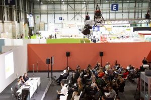 IV Congreso COEMFE 2019