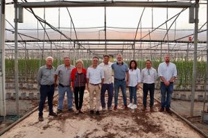 JUNTA DIRECTIVA TECNOVA EN INVERNADERO SICILIA