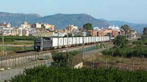 MSC Reefer