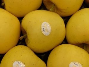 manzana opal