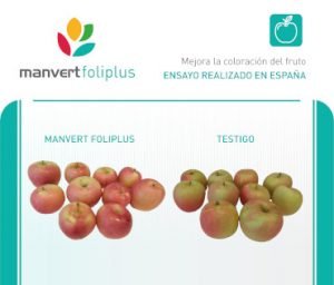 Manvert