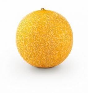 melón Sidonia es el galia larga vida con Sabor de Fitó