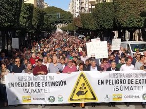 Movilizacion 19N almería
