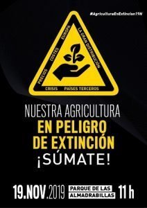 Cartel Movilización 19N