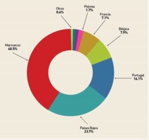 Importaciones-españolas-de-tomate-según-origen.-Enero-Julio-de-2019.-Fuente-Aduanas