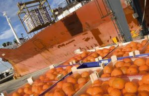 citricos