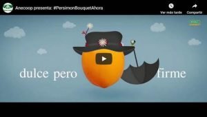 kaki persimon campaña youtube