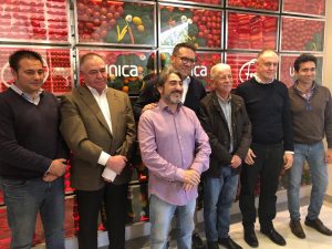 veggie wall unica group presentacion