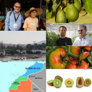 collage noticias mas leidas 2019
