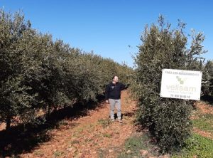Vellsam consolida su crecimiento nacional con buenos resultados en Castilla-La Mancha