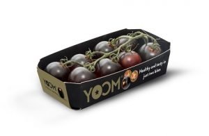 syngenta Barqueta_YOOM