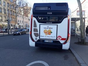 Campaña citricos autobus francia