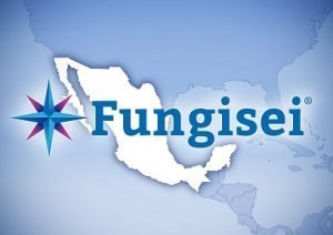 seipasa Fungisei