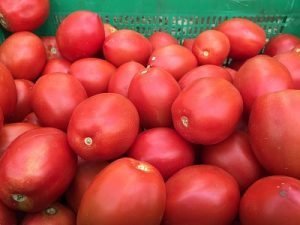 ecoculture Tomate tratado con Blush