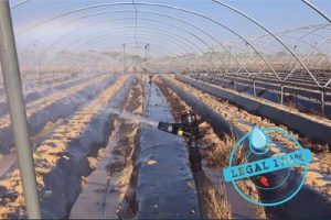 agua huelva regantes palos 100% legal