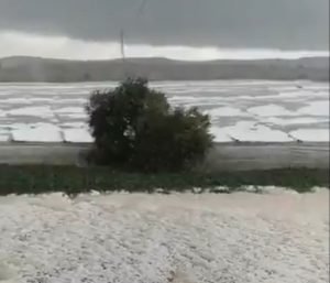 coag granizo