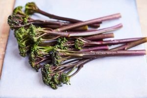 sakata TENDERSTEM_ROYALE