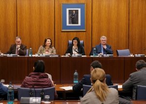 Crespo comisión Parlamento