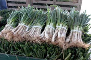 Calcots
