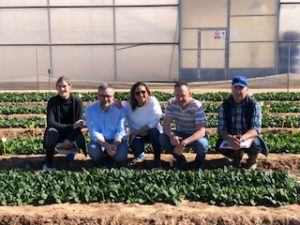 basf nunhems demo lechuga 2020