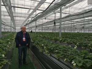 Strawberry Symposium