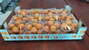 CAJA NISPERO FRUTAS FAJARDO